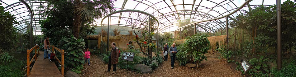 ZOO Dvůr Králové